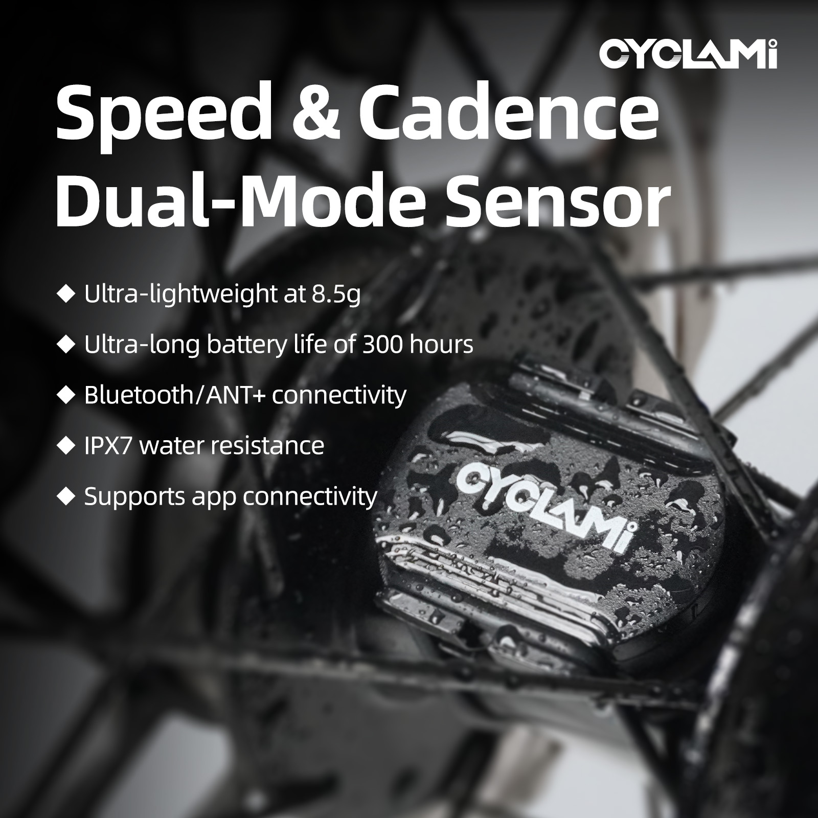 Sensor Kecepatan dan Kadensi S - Cycling Speed Cadence Sensor Dual ulasan dan harga